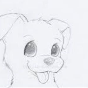 Meet your Posher, Eli